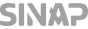 sinap-logo_grey